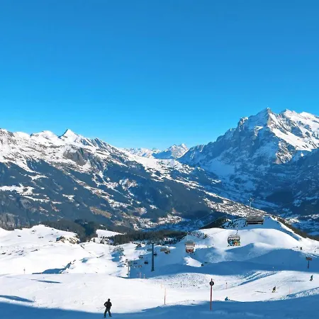 Hobelbank By Interhome Appartamento Grindelwald