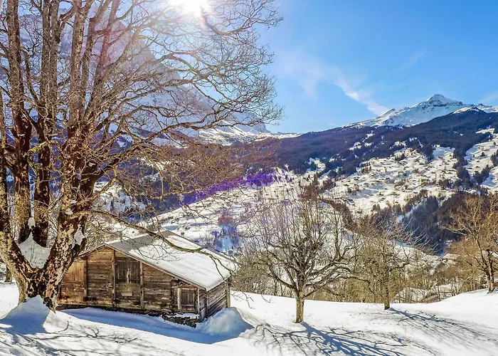 Hobelbank By Interhome Daire Grindelwald